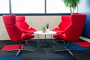 CS Project Amerivet 1046