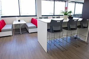 CS Project Amerivet 1129