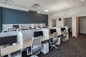 CS Project NW Mutual 3