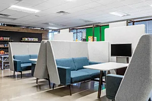 CS Project Mongo DB 7