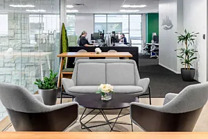 CS Project Mongo DB 17