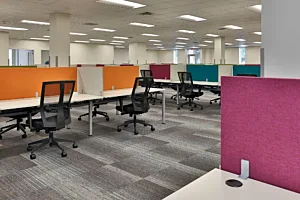 CS Project OKIN 0 Z8 A9390