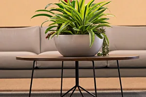 CS Project Aspen Lake 16