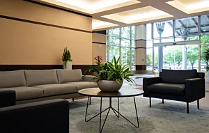 CS Project Aspen Lake Video