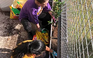 CS About Community 3 Mobile