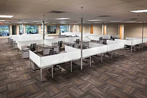 CS Project TJH 9033 Mobile