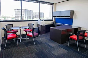 CS Project Amerivet 1083 Mobile