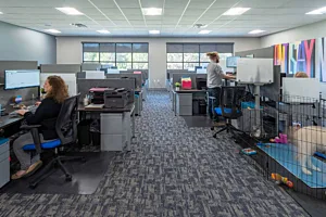 CS Project T Blackwell 6 Mobile