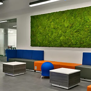 CS Project Level UP Header Mobile