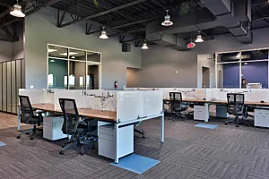 CS Project i Mag Dent 0846 Mobile