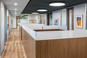 CS Project Bickerstaff LG 32