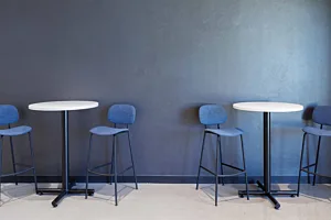 CS Project Bridge Labs 01