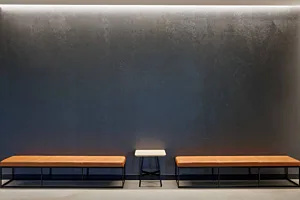 CS Project Bridge Labs 03