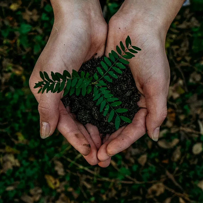 CS About Sustainability Mobile