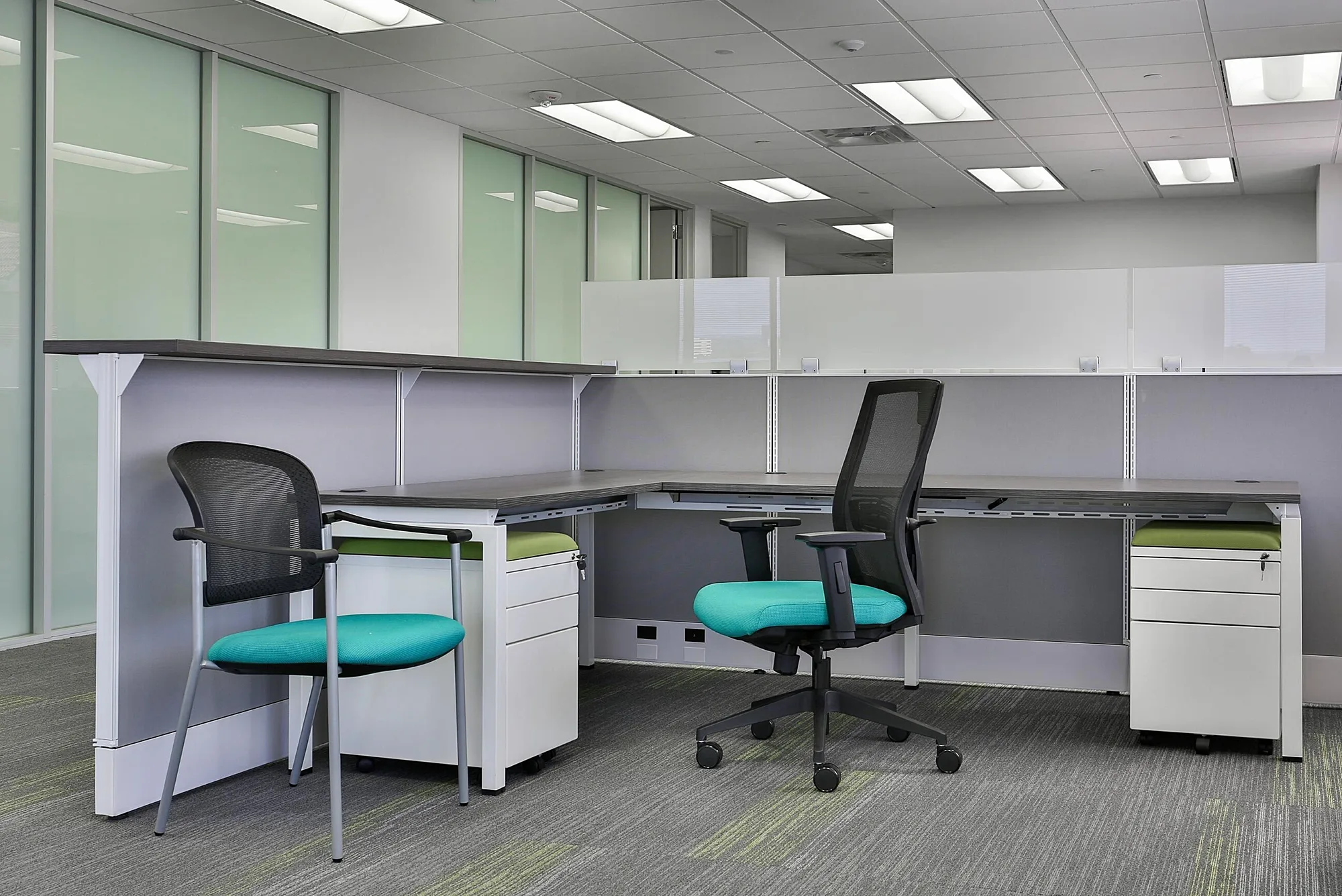 CS Project United Allergy 2493