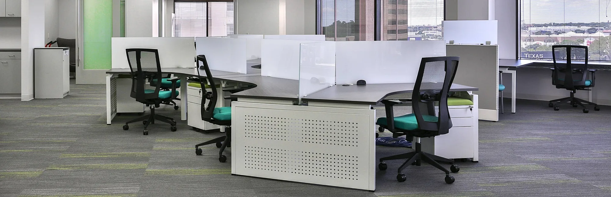 CS Project United Allergy Header