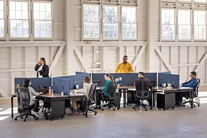 Open office workstations with low panel dividers